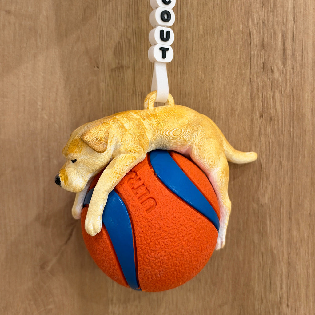 Build Your Labrador| Custom Dog | Ball Holder Only