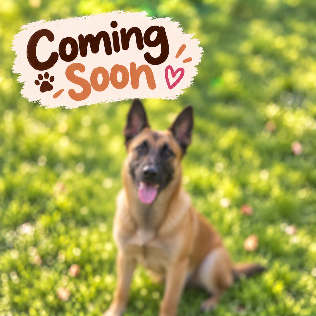 Build Your Malinois | Pickleball & Tennis Ball Holder
