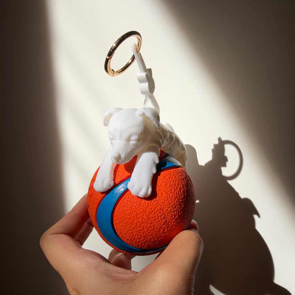 Build Your Australian Shepherd | Custom Dog | Ball Holder Only