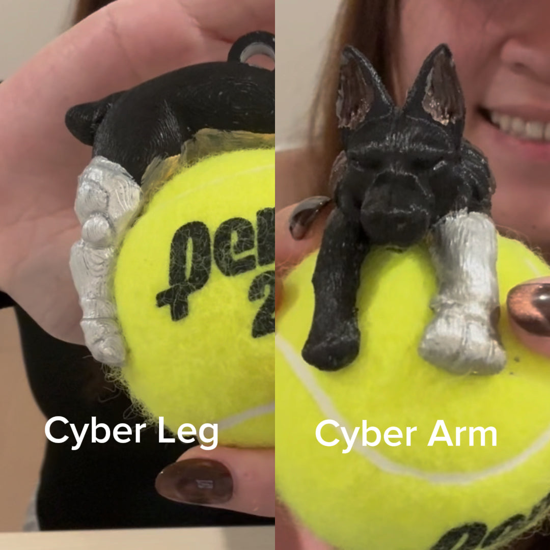 Build Your Australian Shepherd | Custom Dog | Ball Holder Only