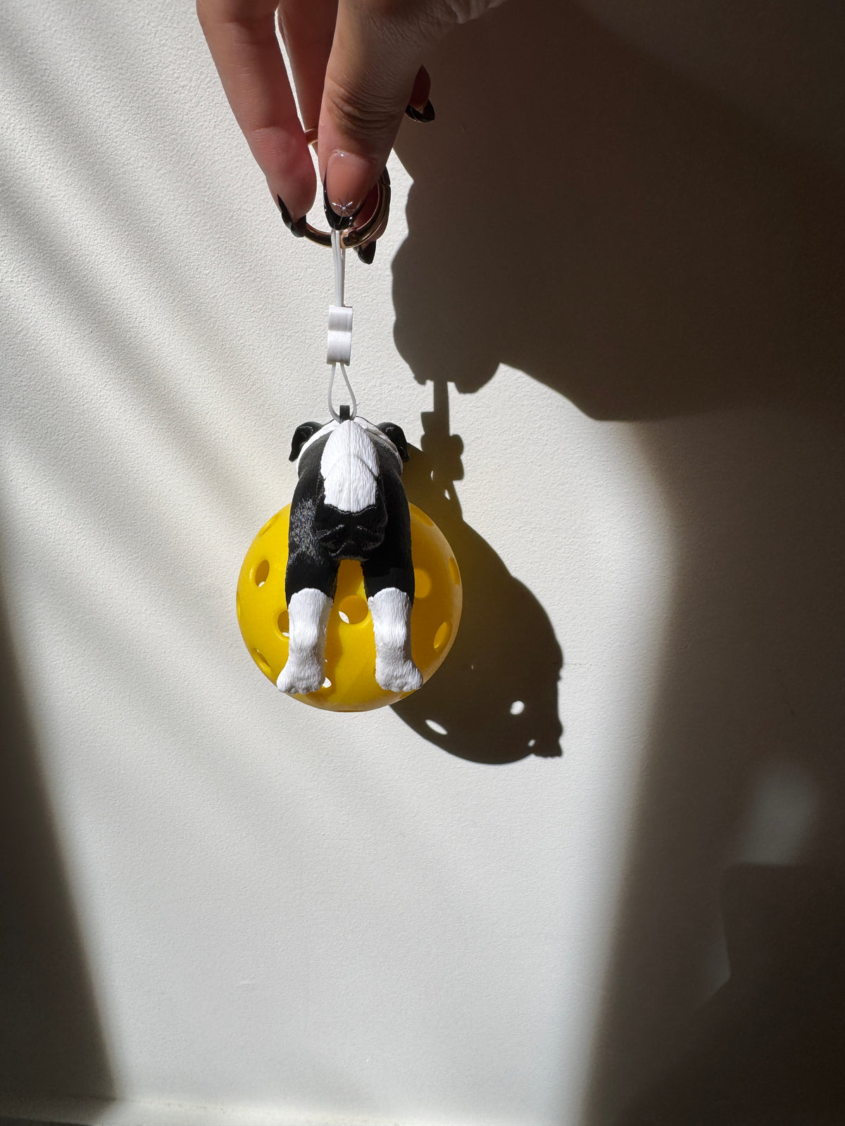 Build Your Border Collie | Custom Pickleball & Tennis Ball Holder
