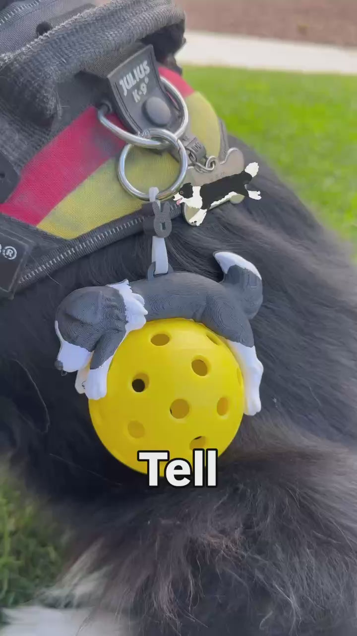 Build Your Border Collie | Custom Pickleball & Tennis Ball Holder